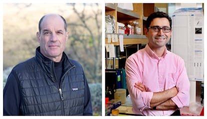 David Julius y Ardem Patapoutian ganadores del Premio Fronteras del Conocimiento en la categoría Biología y Biomedicina / Fundación BBVA