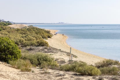 El aguazal de El Portil, en Punta Umbría (Huelva).