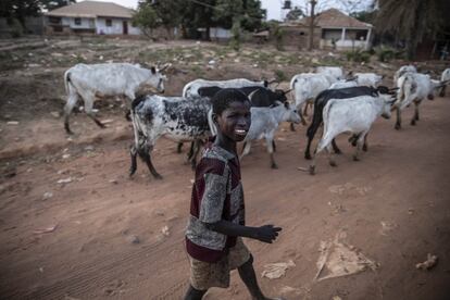 "Realizan tareas para las que son demasiado jóvenes o son peligrosos y, por lo tanto, puede comprometer su integridad física, mental, así como su normal desarrollo social y educativo", denuncia Unicef. Es más frecuente que los niños involucrados en trabajos peligrosos sean de zonas rurales (41,5%) frente a los de zonas urbanas (23,7%).