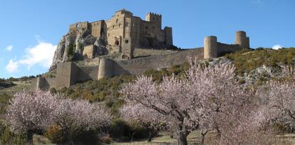 Almendros ante el castillo de Loarre, en Huesca.