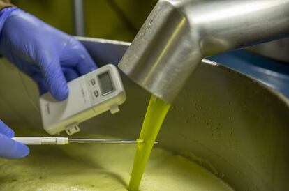 Un momento de la extracción de aceite de oliva virgen extra fabricado a partir de aceitunas tempranas en una almazara de Fincas la Torre, en Jaén.