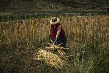 Una agricultora en los alrededores de Puno (Perú). 