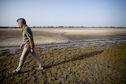 Eloy Revilla, director de la Estación Biológica de Doñana (CSIC) en la laguna de Santa Olalla.