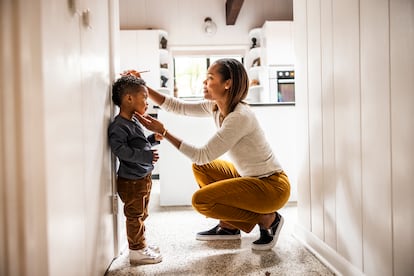 Las familias no se definen por su composición, sino por otros aspectos, como el vínculo emocional.