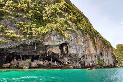 Viking Cave, uno de los lugares en el que anidan las salanganas.