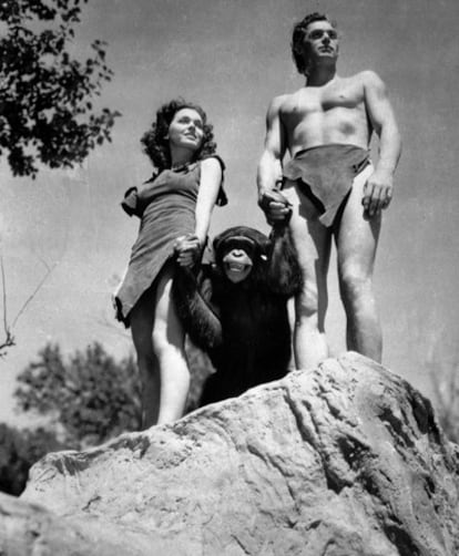 Un fotograma de 'Tarzán' con Johnny Weissmuller, Maureen O'Sullivan y la mona 'Chita'.