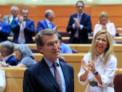 Feijóo, ovacionado este martes en el Senado por los miembros de la bancada popular.