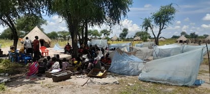 Un grupo de personas se refugia bajo un árbol en Gezire, en el condado de Koch. Imagen cedida por Nyaguir Gatgok