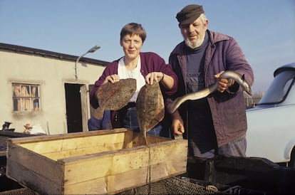 Angela Merkel, en la isla de Rügen (Mecklemburgo-Pomerania Occidental) en 1990 durante su primera campaña electoral. "El 2 de noviembre, el fotógrafo Michael Ebner, afincado en Bonn, me acompañó en mi recorrido. Se lo había pedido Hans-Christian Maass porque quería que los alemanes occidentales vieran cómo transcurría la campaña electoral en los nuevos estados federales", escribe la excanciller. "Recuerdo mis intentos de conversación con los pescadores. (...) Existía una gran incertidumbre por lo que les esperaba".