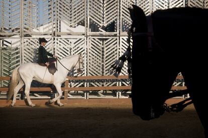 Una amazona va al paso con un caballo antes de entrar a la pista para la exhibición.