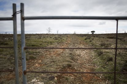 Los terrenos en los que BNK quiere desarrollar su proyecto son públicos. Pertenecen a la junta vecinal de Masa.