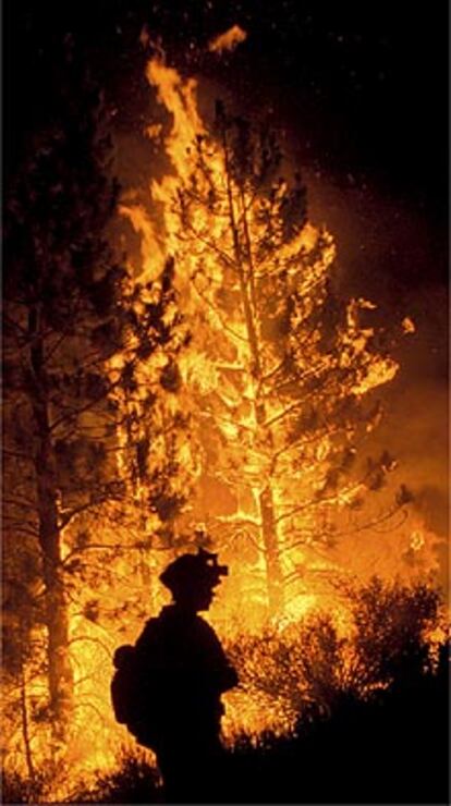 Un bombero trabaja en las labores de estinción del incendio que amenaza a los secuoyas de California.