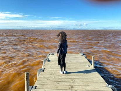 Las aguas marrones de la Albufera en una imagen tomada este viernes en el mirador de la gola de Pujol.