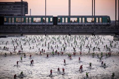 Participantes en una competición de 'paddle surf' por el río Sena, en París (Francia).