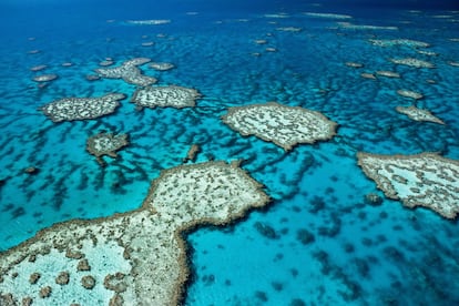 Vista de la Gran Barrera de Coral, en Queensland (Australia).