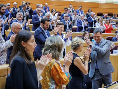 El presidente del Gobierno, Pedro Sánchez, aplaudido por la bancada socialista del Senado, este martes.