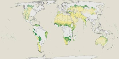 El mapa muestra las regiones áridas del planeta y, en función de su verdor, la presencia de arbolado.
