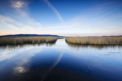 El parque nacional de Las Tablas de Daimiel es un ecosistema único en el mundo.