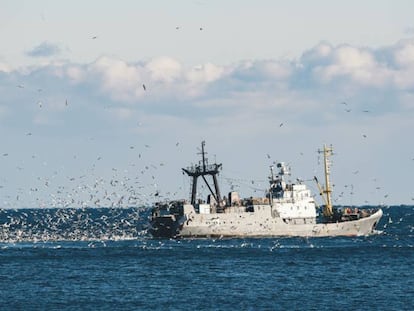 Un barco pesquero faenando en el mar