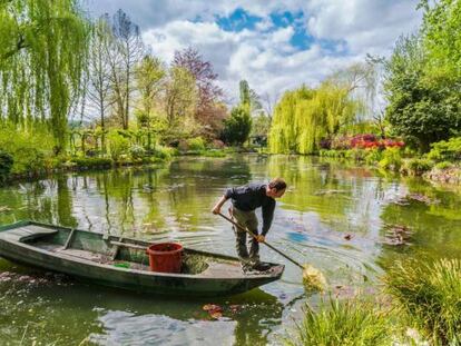 El jard&iacute;n de Monet, en Giverny. 