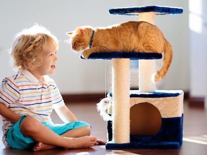 Perfectos para que los gatos los usen como refugio, como actividad de juego y para el cuidado de las garras. GETTY IMAGES.