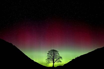 L'aurora boreal vista Northumberland, al nord d'Anglaterra.