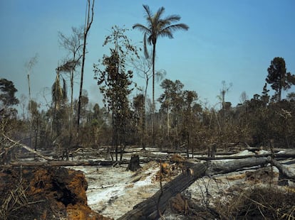 Las huellas de los incendios en el municipio de Cláudia, en el Estado brasileño de Mato Grosso.