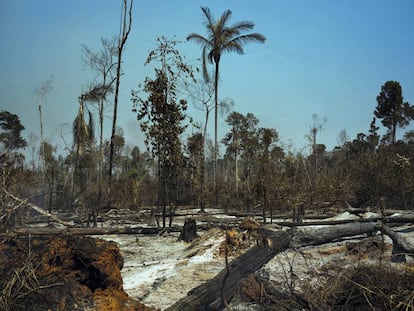 Las huellas de los incendios en el municipio de Cláudia, en el Estado brasileño de Mato Grosso.