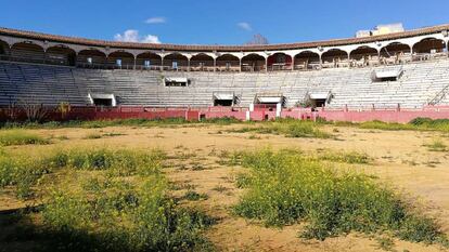 La plaza de toros de Lorca tras el terremoto de 2011.