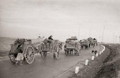 Caravana de traperos en la carretera de Madrid a Alcalá de Henares, el 14 de diciembre de 1951 (Archivo Regional de la Comunidad de Madrid/ Fondo Martín Santos Yubero).