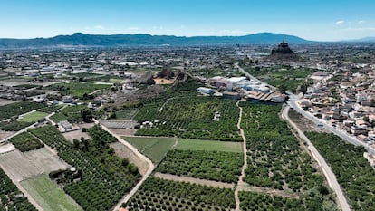 Vista aérea de la huerta en la pedanía de La Cueva, con el castillo de Monteagudo y, al fondo, la ciudad de Murcia.