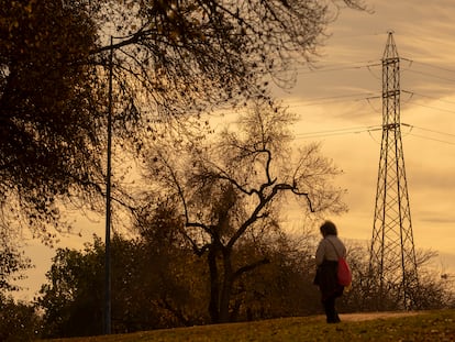 Tendido eléctrico en el Parque del Alamillo, en Sevilla.