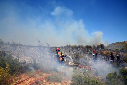 Los bomberos intentan extinguir un incendio forestal en Grammatiko, al noreste de Ática.