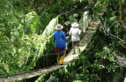 La reserva biológica de Indio Maíz, en Nicaragua.