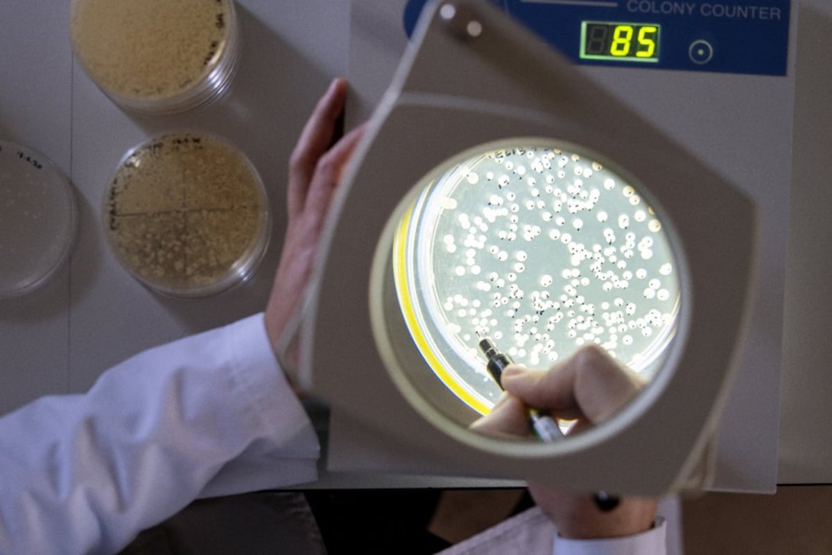 The keys to longevity are hidden in the microbes that give us beer and wine