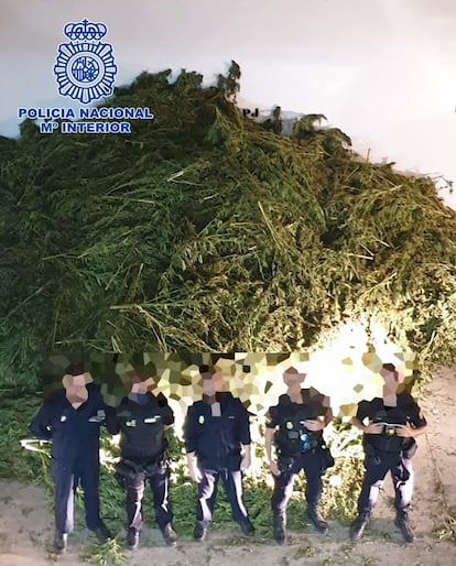 Cinco agentes de Policía Nacional, frente a una incautación de 10.170 plantas de marihuana en Almería.