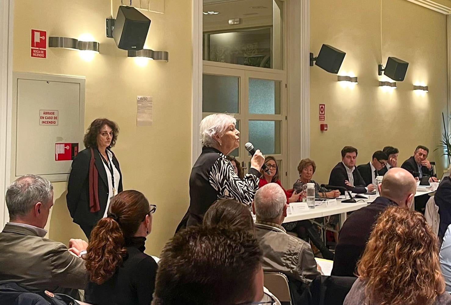 Emilia Lozano de la ONg Somos Acogida durante su intervención este jueves en el pleno de Hortaleza