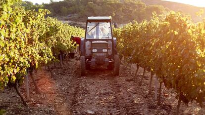 Labrar en una finca no es incompatible con una baja por ansiedad
