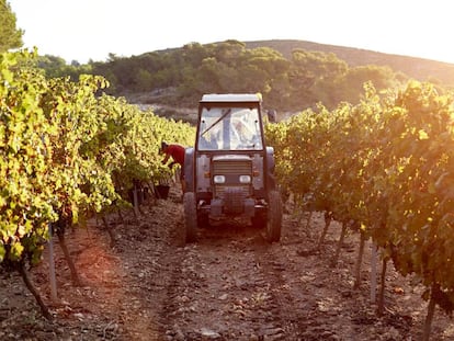 Labrar en una finca no es incompatible con una baja por ansiedad