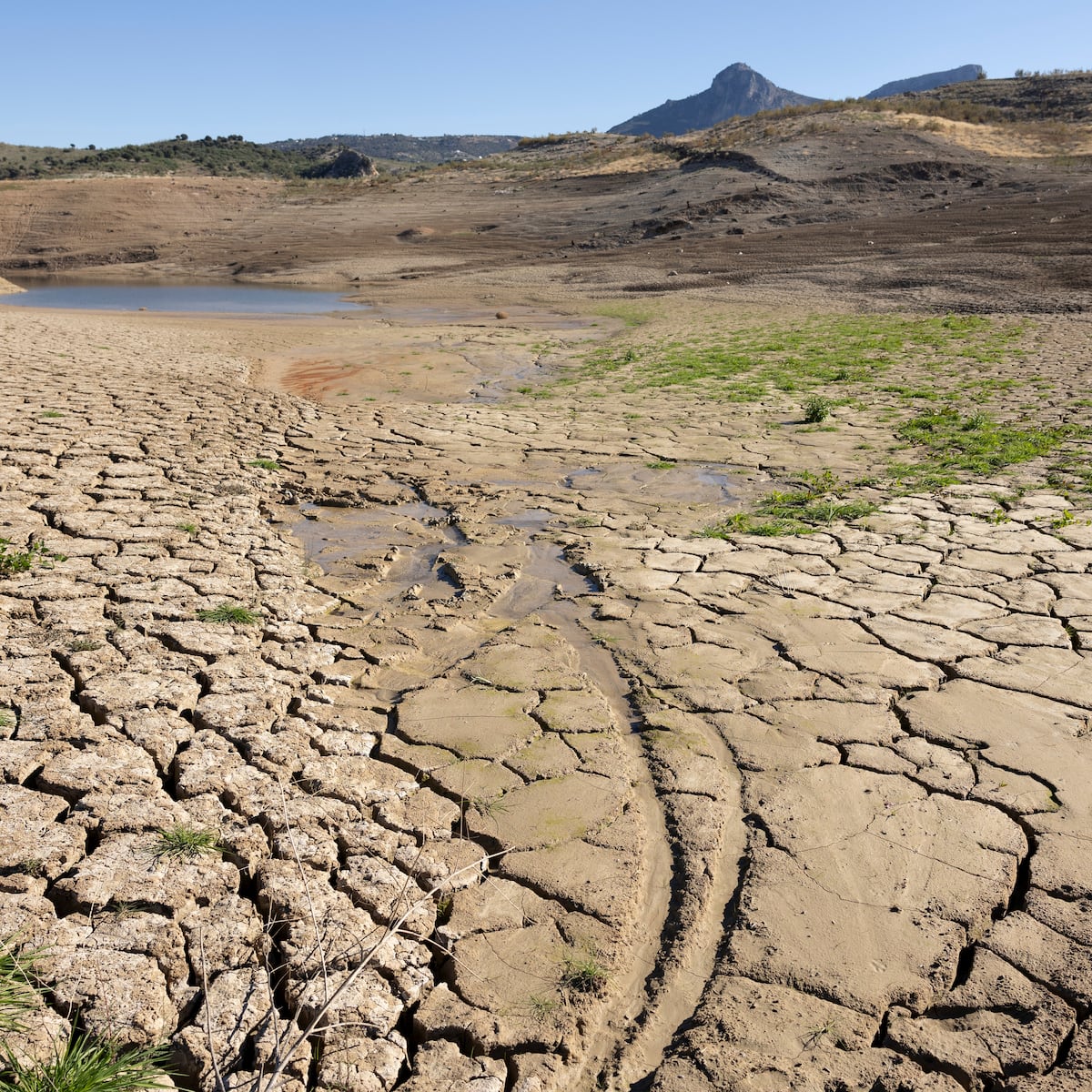 El debate | ¿Es acertado el pacto de Estado contra la emergencia climática?