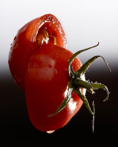 El tomate de 'penjar' o de colgar es el tradicional para el pan con tomate.