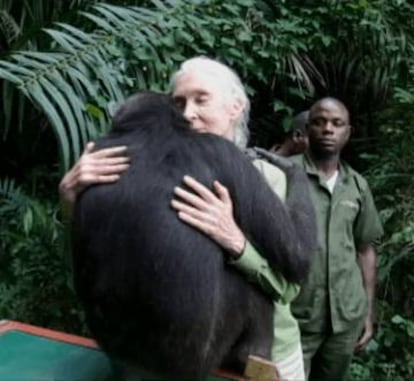Un fotograma del vídeo en el que Wounda abraza a Jane Goodall.