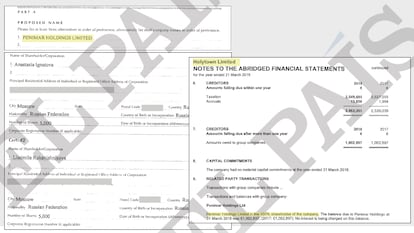 Documentos que vinculan Penimar Holdings (BVI) con Holytown Limited (Irlanda). EL PAÍS.