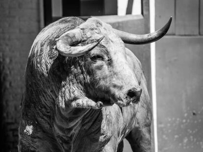 Uno de los toros de la ganadería de Montealto, presentados para la corrida del domingo.