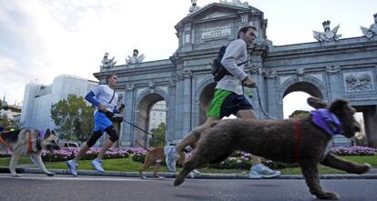 Participantes del Perrotón acompañados de sus perros.