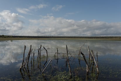 The lake of Chapada do Lagoão, an environmentally protected area.