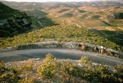 Terrazas de viñedos con el macizo chipriota de Tröodos al fondo.