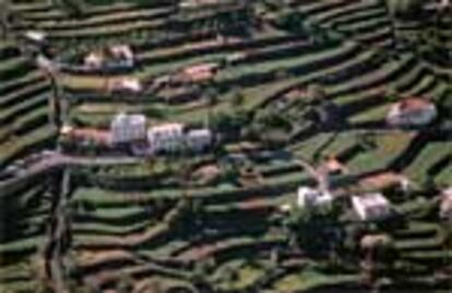 El sistema de cultivo en cancales y las palmeras canarias son dos características del paisaje de La Gomera