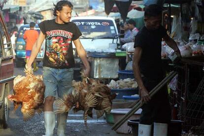 Vendedores de pollos en el mercado Khlongtoey de Bangkok (Tailandia).