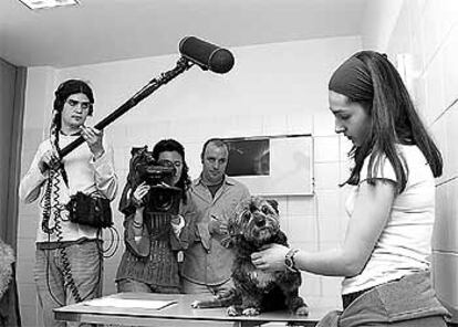 La perrita <i>Perla</i> visita una clínica veterinaria, momento que capta la cámara del programa.